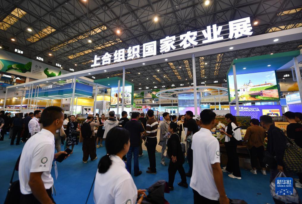 ag1024最近改成什么了